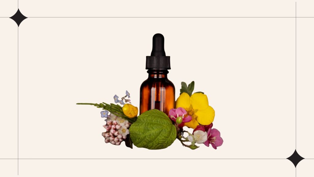 Diseño sin título (10)