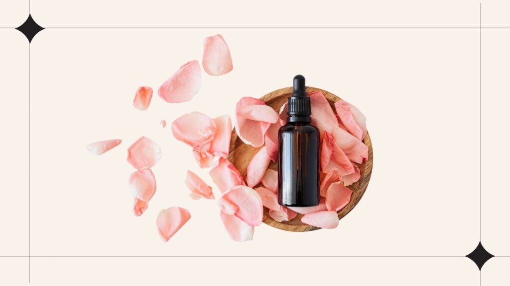 Diseño sin título (12)