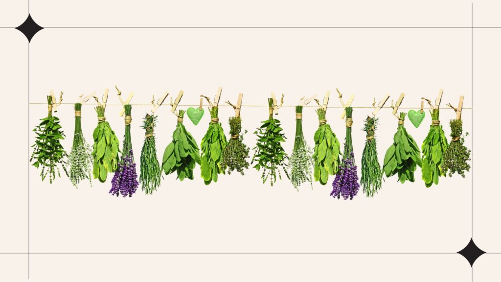 Diseño sin título (16)