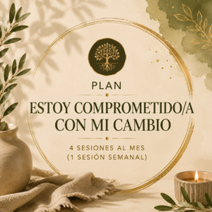 PLAN "ESTOY COMPROMETIDO"
